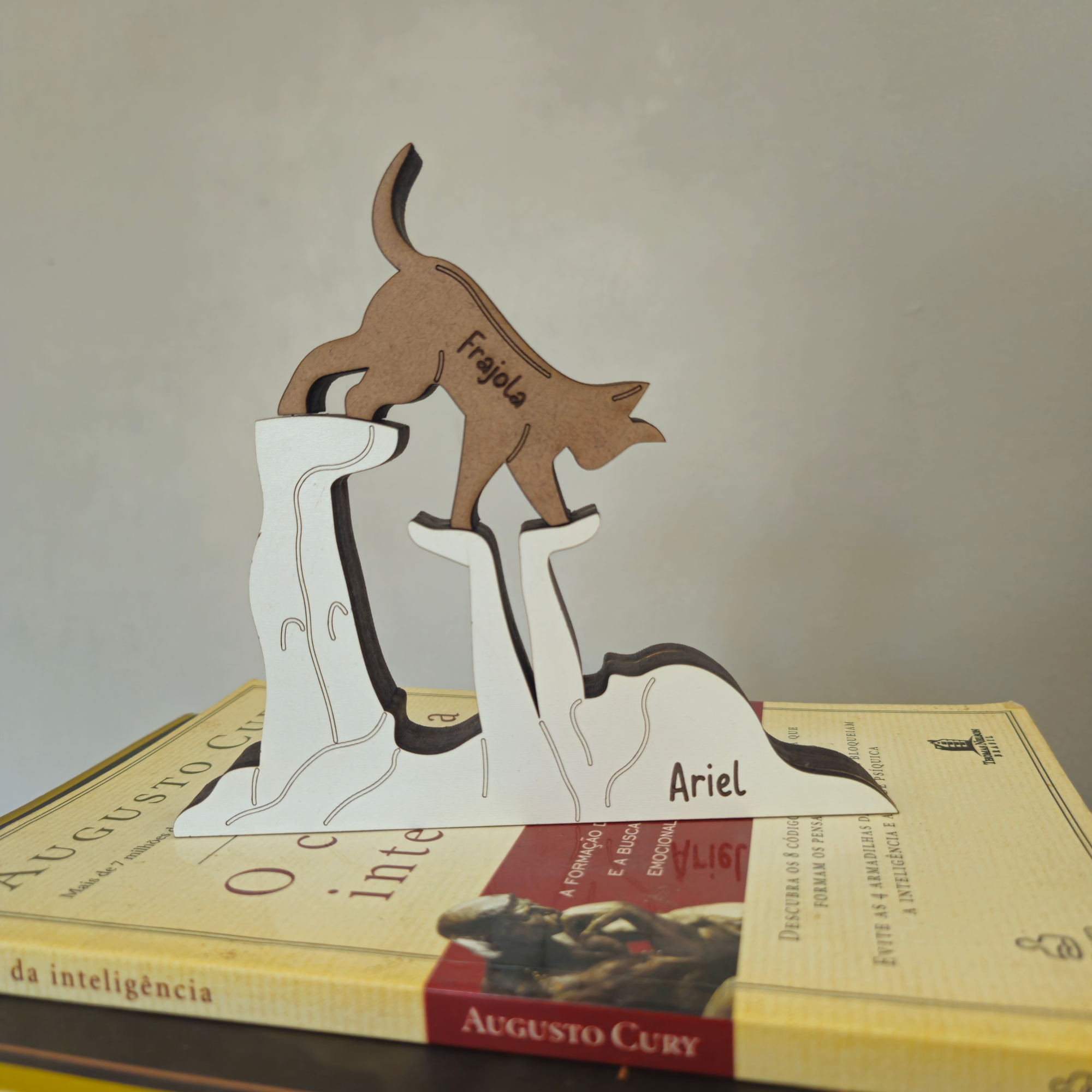 Você, seu pet e seus nomes (Bichano)